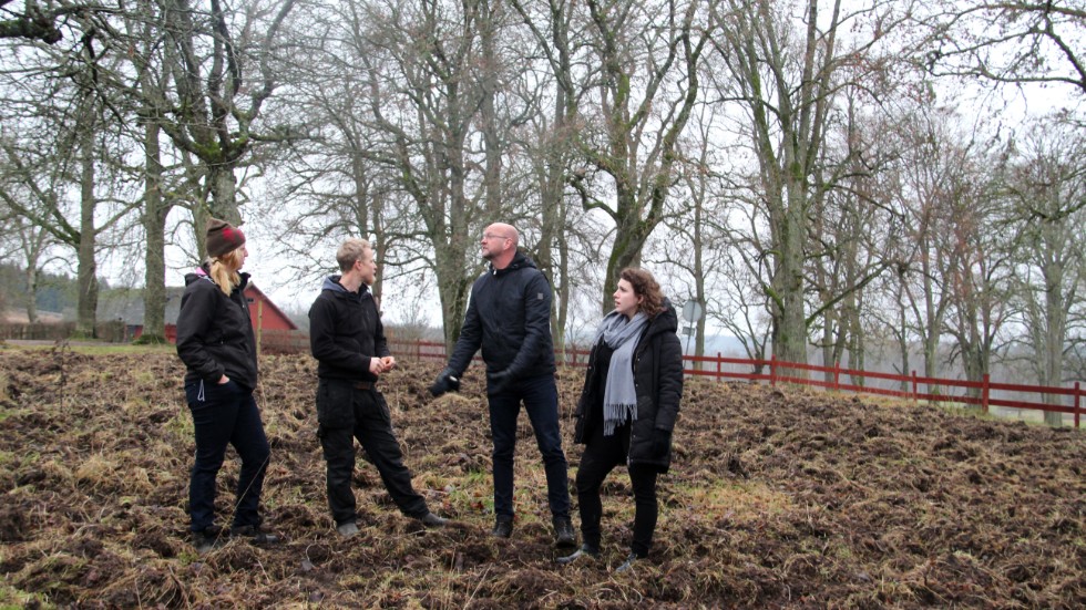 Under fredagen visade lantbrukarparet Linnéa och Johan Herbertsson upp de skador som vildsvin åsamkat för riksdagsledamoten Magnus Oscarsson (KD) och partiets ombudsman i Östergötland Elvira Wibeck. 