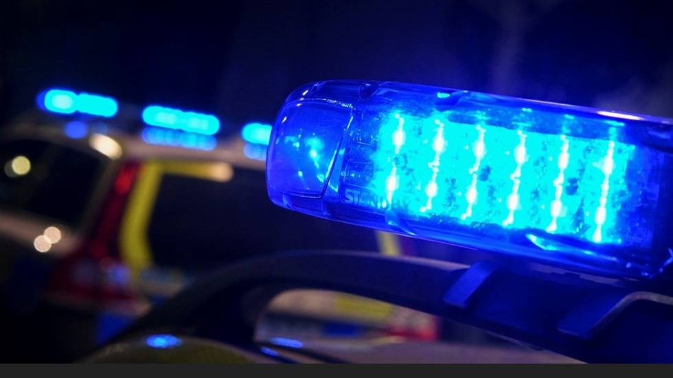Polisen hittade en revolver och narkotika i en bostad utanför Norrköping under fredagen.