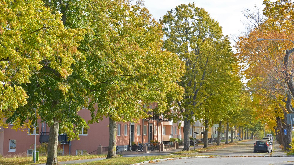 Stationsgatan är den gata i Västervik där bostadsrättspriserna ökat mest de senaste två åren.
