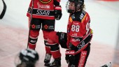 Luleå Hockeys segersvit bruten