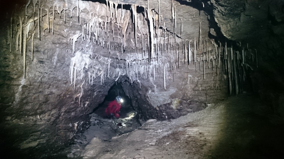 Bild från Droppstensgalleriet i Lummelundagrottan. Grottan är i dag drygt 4 kilometer lång, vilket gör den till Sveriges näst längsta. 