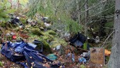 Svampstället hade förvandlats till en soptipp