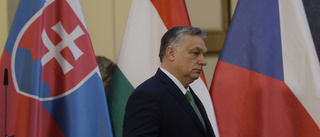 Viruset kan ge Orbán mer makt i Ungern