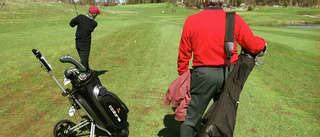 Stort tryck på golfbanorna: "Som ett kosläpp"