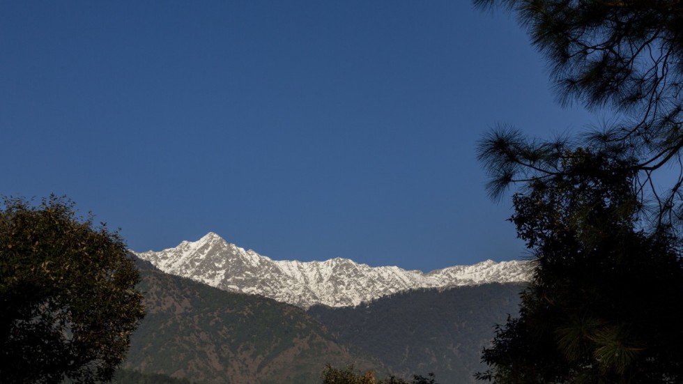 I vissa delar av Indien har man inte kunnat se Himalaya på över 30 år, vilket man kan i dag på grund av att luftföroreningarna har minskat drastiskt. Skribenten hoppas att miljöeffekterna ska fortsätta även efter coronakrisen.