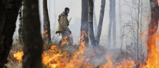 Risk för gräs- och skogsbränder på flera håll