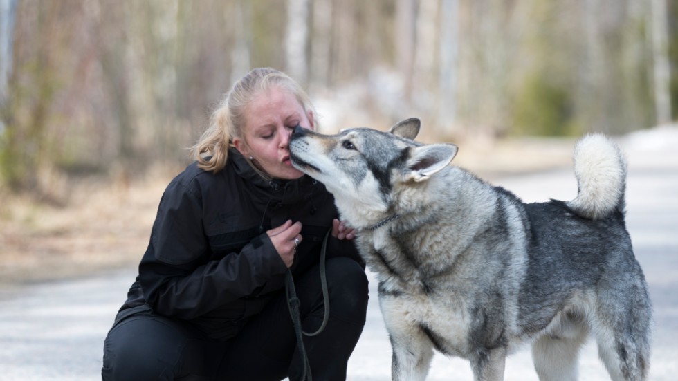 Jaana Väisänen har lärt sin hund att ge henne en puss när han hälsar. 