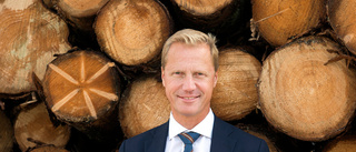 Holmenchef ny ordförande för Skogsindustrierna