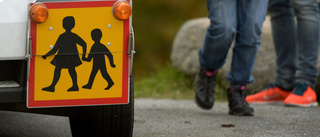 Trots överklagan – åttaåring nekas taxi till skolan
