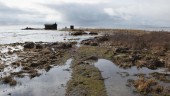 Strandbod attackerades av husbock – Nu ges strandskyddsdispens för att bygga nytt