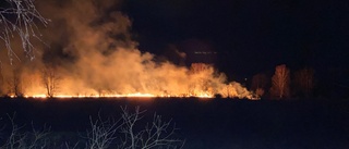 Sex hektar mark brann i skogen