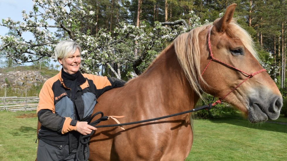 Annelie Svensson använder hästarna i arbetet i skogen och på gården.