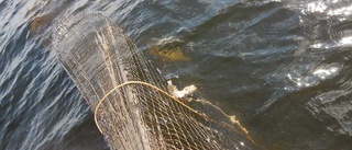 Fiskevakter har beslagtagit 900 meter olagliga nät