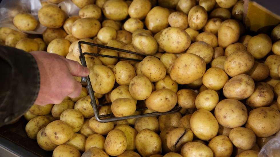 Insändarskribenten gillar inte att behöva gissa vikten på en enskild potatis.