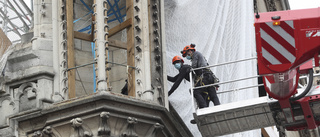 Riskabel process inledd vid Notre-Dame