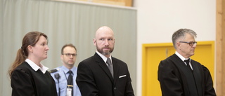 Breiviks manifest såldes på svenska boksajter