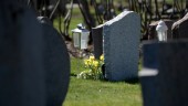2019 minst dödliga året i Sverige på 42 år