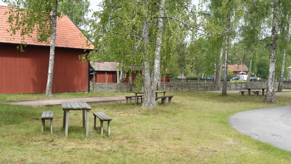 Björkdungen på baksidan av Frödinge Bygdegård lämpar sig för träffar med social distansering.