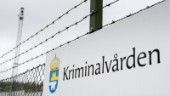 Allt fler unga på fängelserna