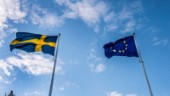 Sverige måste kunna stoppa farliga köpare