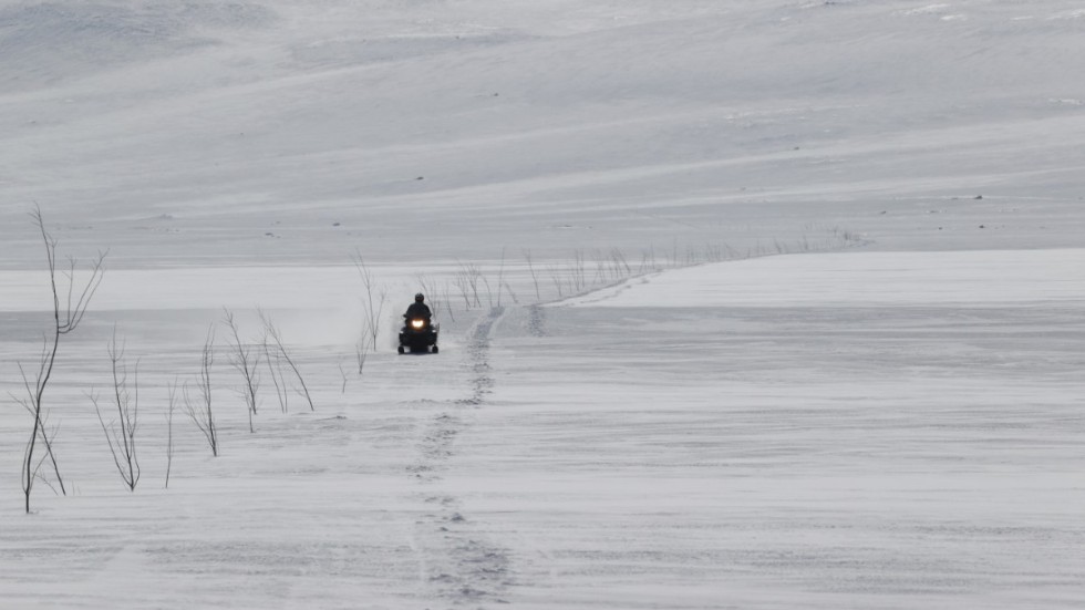 Snöskotrar får fortsätta att köra på samebyarna Gabna och Laevas renbetesmarker säsongen ut, enligt Kiruna kommun. Arkivbild.