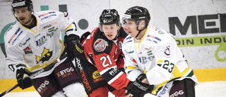 Linus Hedman återvänder till Piteå Hockey
