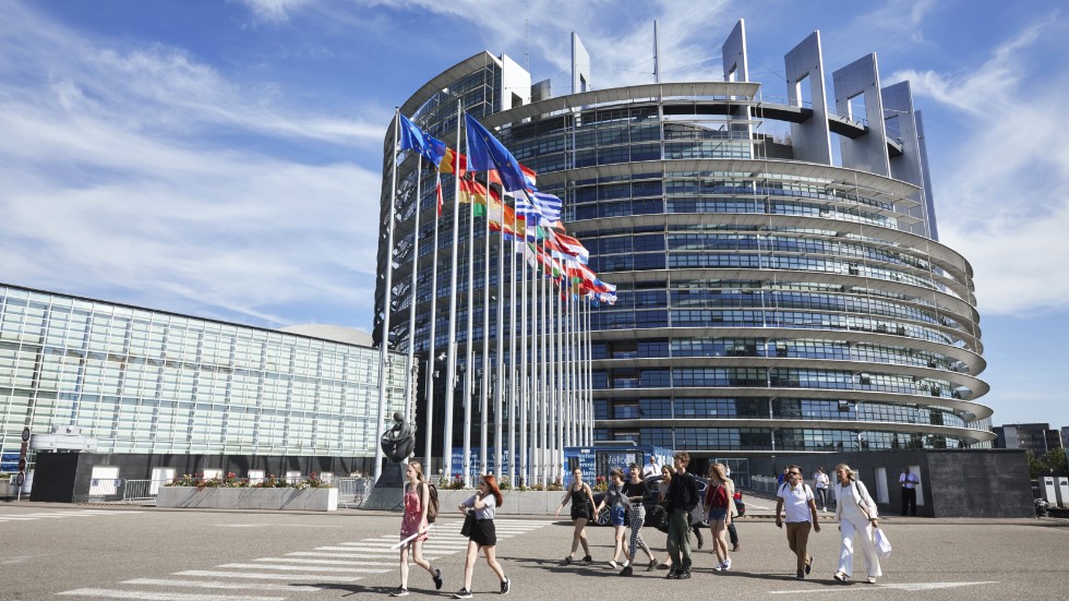 I Europaparlamentet är det avgörande med en röst som kämpar för frihet, digital rättvisa och innovation.