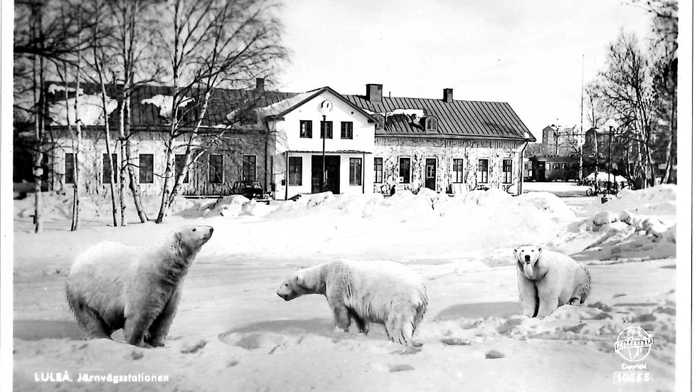 Motivet är välkänt och det fanns en period då allt som fotograferades i norra Sverige skulle förses med isbjörnar.