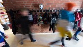 Tonåring åtalas för intrång på skolor