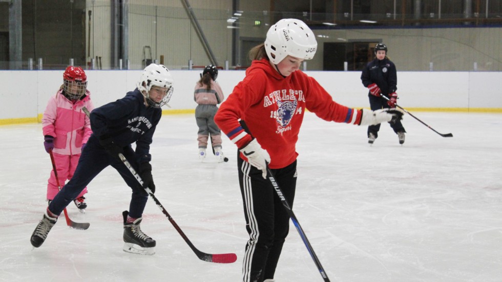 Ett drygt 10-tal tjejer kom till World Girls Ice Hockey Weekend i Modig-Hallen i Virserum. 