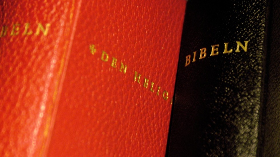 Bibeln står för många bottnar av bildning, kunskap och omvärldsförståelse, skriver Lars Naeslund.
