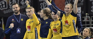 Kvalen ställs in – Sverige klart för VM och EM