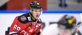 Erik Wikgren kliver inte på is med Piteå Hockey: "Har inte beslutat mig för att lägga av, men det blir knappast spel före juluppehållet"