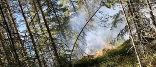 Se hur snabbt skogsbranden sprider sig