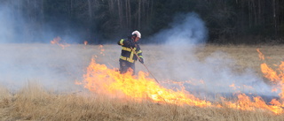 Risk för gräsbrand i Västerviksområdet • Men nästa vecka kan bli blöt