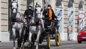Wiens hästdroskor kör ut mat till äldre