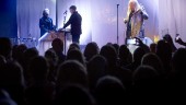 Livearrangörer försöker överleva till i höst