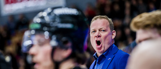 Tränaren förlänger med Luleå Hockey: "Har något bra på gång"