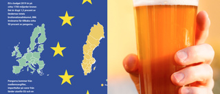 Öl, mygel eller EU-bidrag: Vad är viktigast för er läsare?
