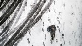 SMHI om snöläget i Norrbotten: "Inga stora mängder"