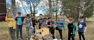 Barn bygger ekorrparadis i Sjulnäs