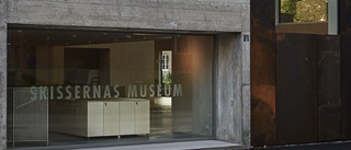 Storsatsning på digitala museibesök