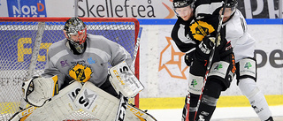 Förra AIK-keepern slutar – då värvar Kiruna från Luleå