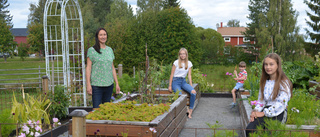 Gabriella och barnen odlar klimatsmart i Klutmark: ”Fokuserar på att leva hållbart”