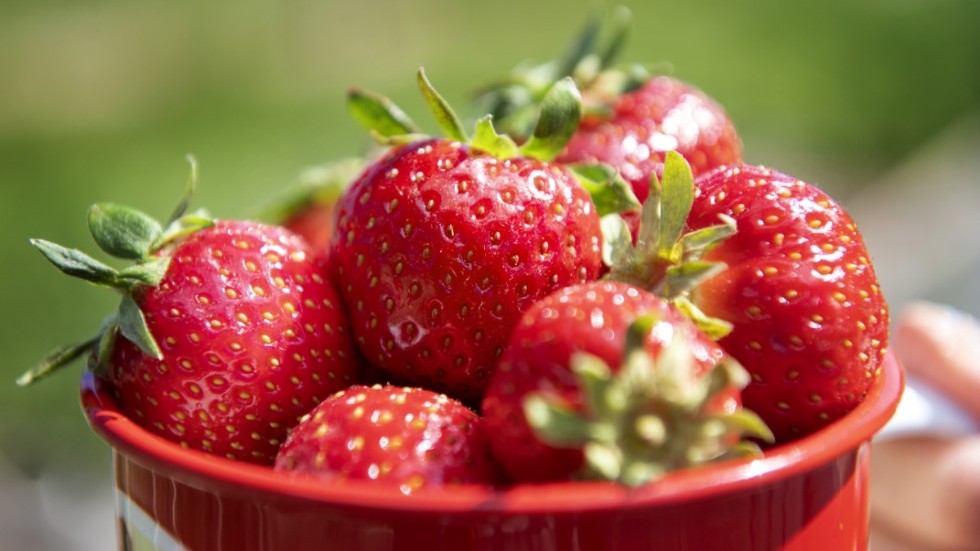 Det går att kolla om jordgubbarna är svenska eller inte. De bärsugna kunderna ska kunna lita på att informationen stämmer.