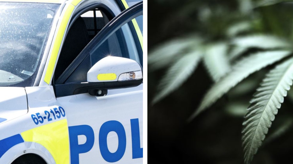 En 24-årig man döms för att ha hantera narkotika i sitt hotellrum i Linköping. 