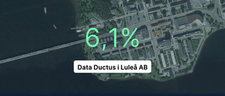 Årsredovisningen klar: Så gick det för Data Ductus i Luleå AB