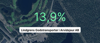 Så gick det för Lindgrens Godstransporter i Arvidsjaur AB i fjol