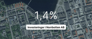 Investeringar i Norrbotten AB tappade 26,4 procent av intäkterna