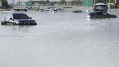 Ett års regn på ett dygn – kaos i Dubai